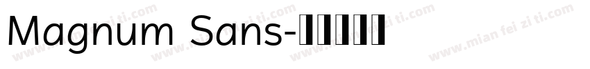 Magnum Sans字体转换